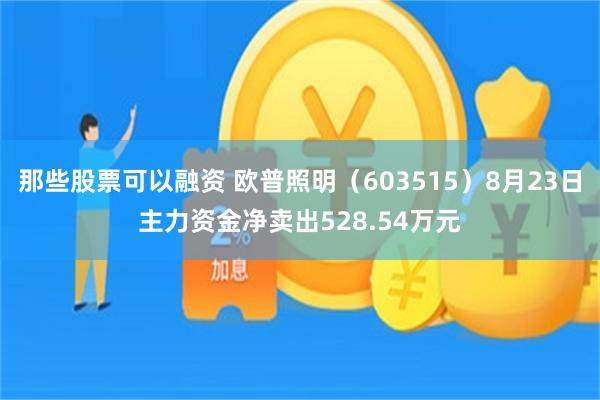 那些股票可以融资 欧普照明（603515）8月23日主力资金净卖出528.54万元