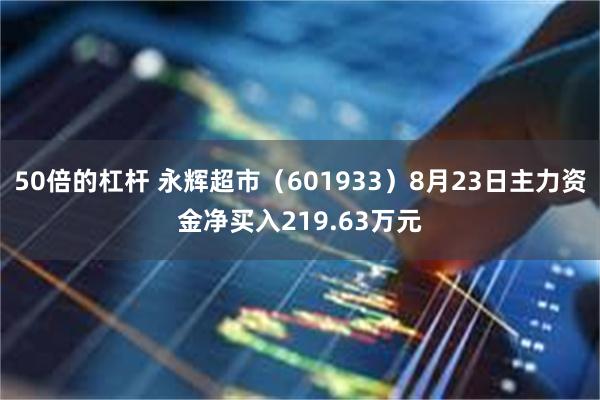 50倍的杠杆 永辉超市（601933）8月23日主力资金净买入219.63万元