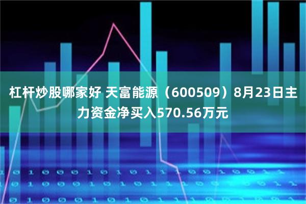 杠杆炒股哪家好 天富能源（600509）8月23日主力资金净买入570.56万元