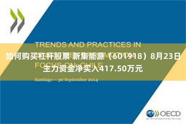 如何购买杠杆股票 新集能源（601918）8月23日主力资金净买入417.50万元