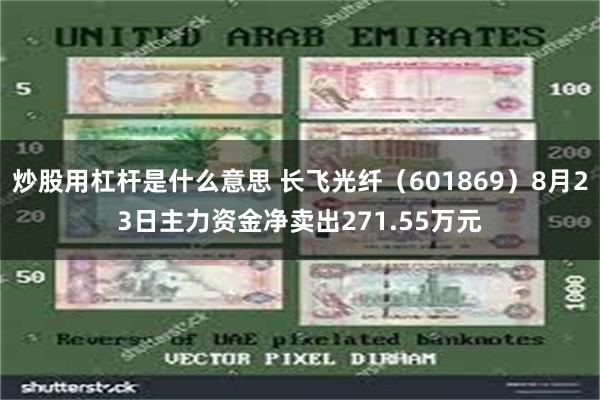 炒股用杠杆是什么意思 长飞光纤（601869）8月23日主力资金净卖出271.55万元