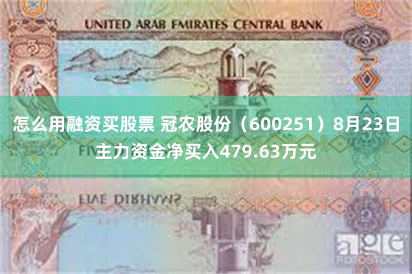 怎么用融资买股票 冠农股份（600251）8月23日主力资金净买入479.63万元