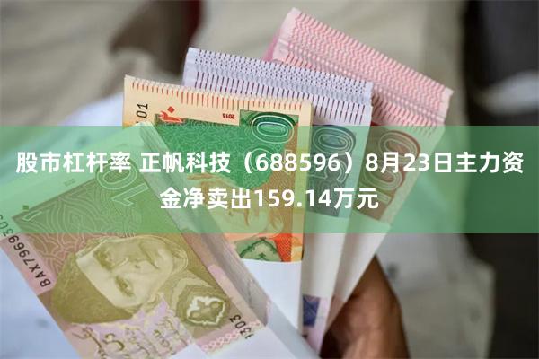 股市杠杆率 正帆科技（688596）8月23日主力资金净卖出159.14万元
