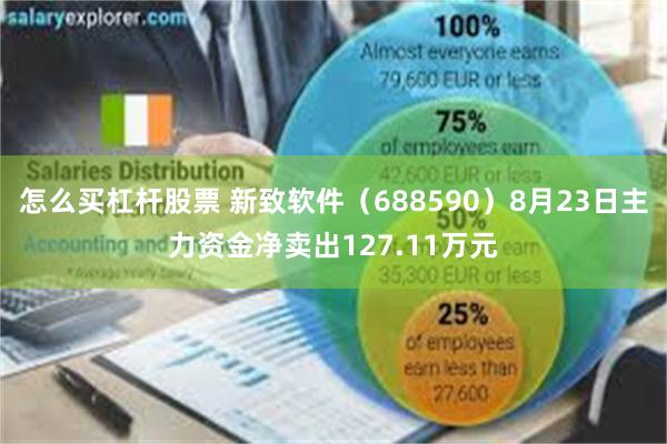 怎么买杠杆股票 新致软件（688590）8月23日主力资金净卖出127.11万元