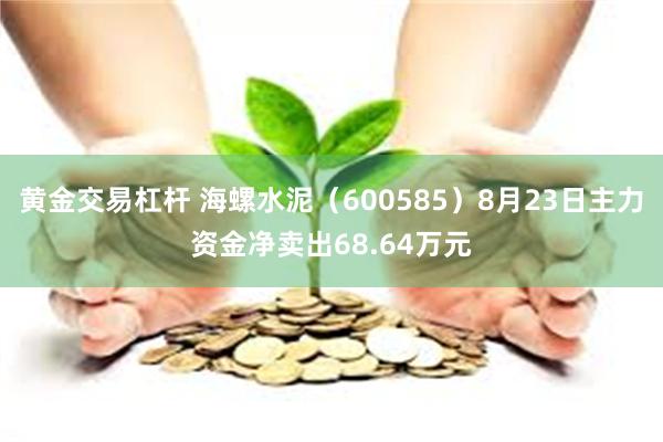 黄金交易杠杆 海螺水泥（600585）8月23日主力资金净卖出68.64万元