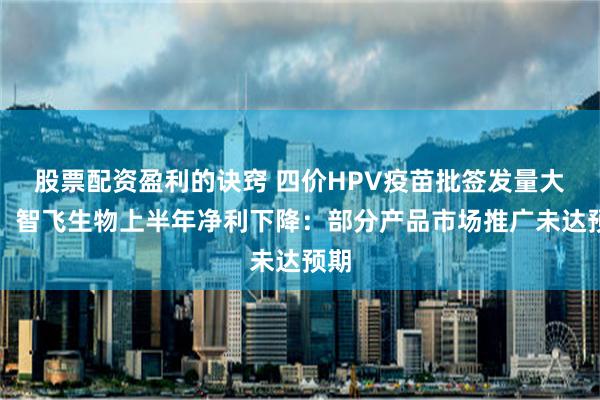 股票配资盈利的诀窍 四价HPV疫苗批签发量大降！智飞生物上半年净利下降：部分产品市场推广未达预期