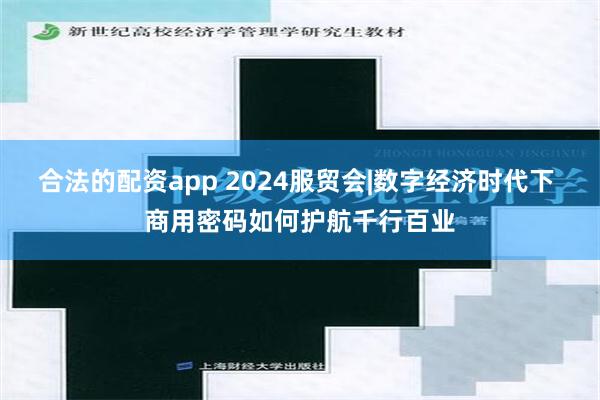 合法的配资app 2024服贸会|数字经济时代下 商用密码如何护航千行百业