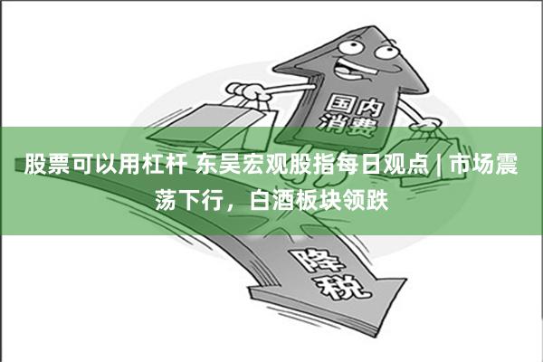 股票可以用杠杆 东吴宏观股指每日观点 | 市场震荡下行，白酒板块领跌