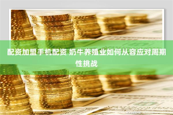 配资加盟手机配资 奶牛养殖业如何从容应对周期性挑战