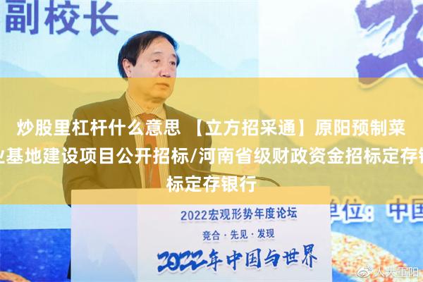 炒股里杠杆什么意思 【立方招采通】原阳预制菜产业基地建设项目公开招标/河南省级财政资金招标定存银行