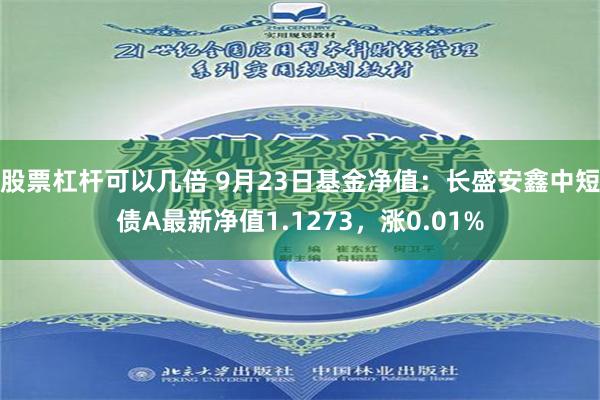 股票杠杆可以几倍 9月23日基金净值：长盛安鑫中短债A最新净值1.1273，涨0.01%