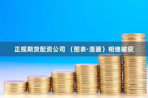正规期货配资公司 （图表·漫画）相继破获