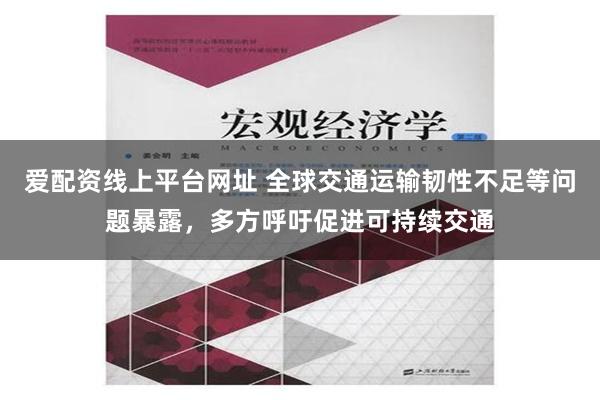 爱配资线上平台网址 全球交通运输韧性不足等问题暴露，多方呼吁促进可持续交通