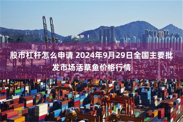 股市杠杆怎么申请 2024年9月29日全国主要批发市场活草鱼价格行情