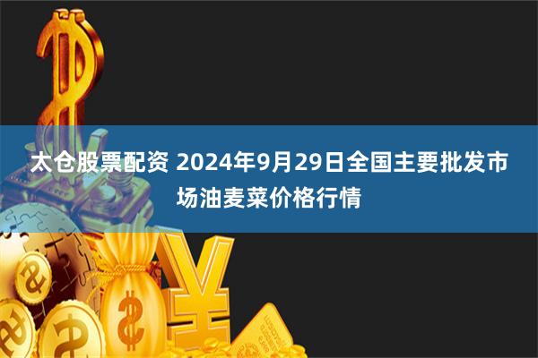 太仓股票配资 2024年9月29日全国主要批发市场油麦菜价格行情