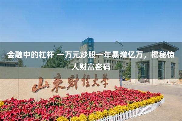 金融中的杠杆 一万元炒股一年暴增亿万，揭秘惊人财富密码