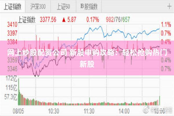 网上炒股配资公司 新股申购攻略：轻松抢购热门新股