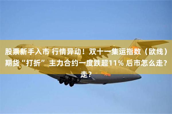 股票新手入市 行情异动！双十一集运指数（欧线）期货“打折” 主力合约一度跌超11% 后市怎么走？