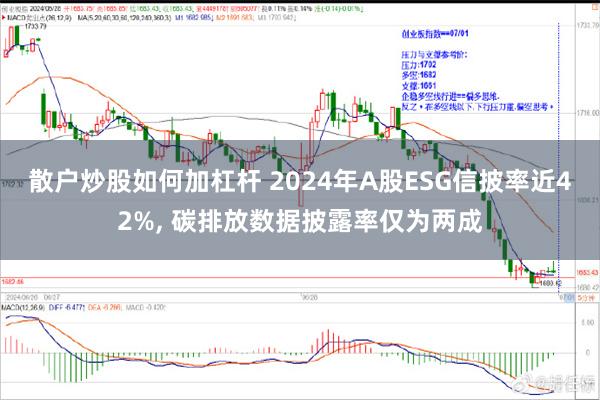 散户炒股如何加杠杆 2024年A股ESG信披率近42%, 碳排放数据披露率仅为两成
