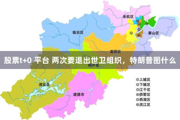 股票t+0 平台 两次要退出世卫组织，特朗普图什么
