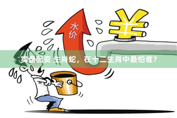 实盘配资 生肖蛇，在十二生肖中最怕谁？