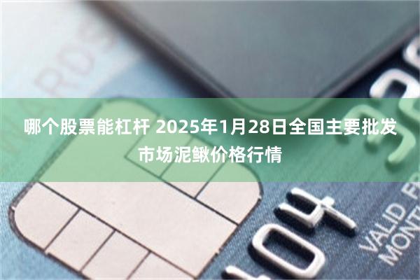 哪个股票能杠杆 2025年1月28日全国主要批发市场泥鳅价格行情