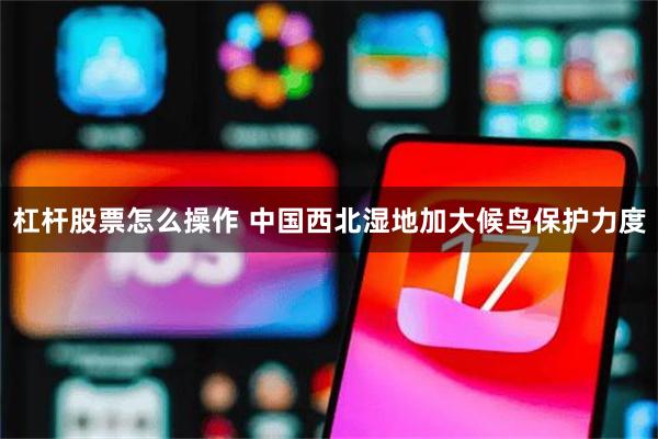 杠杆股票怎么操作 中国西北湿地加大候鸟保护力度