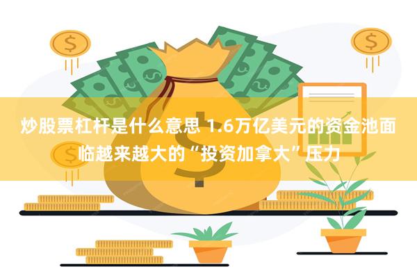 炒股票杠杆是什么意思 1.6万亿美元的资金池面临越来越大的“投资加拿大”压力