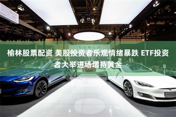榆林股票配资 美股投资者乐观情绪暴跌 ETF投资者大举进场增持黄金