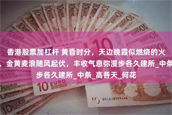 香港股票加杠杆 黄昏时分，天边晚霞似燃烧的火焰，洒在田野，金黄麦浪随风起伏，丰收气息弥漫步各久建所_中条_高各天_何花