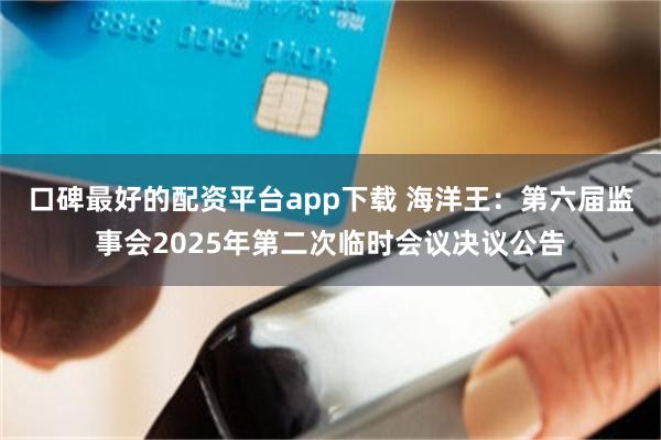 口碑最好的配资平台app下载 海洋王：第六届监事会2025年第二次临时会议决议公告