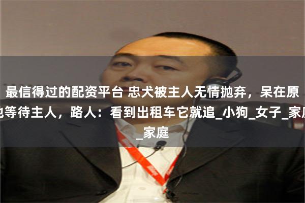 最信得过的配资平台 忠犬被主人无情抛弃，呆在原地等待主人，路人：看到出租车它就追_小狗_女子_家庭