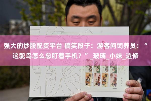 强大的炒股配资平台 搞笑段子：游客问饲养员：“这鸵鸟怎么总盯着手机？”_玻璃_小妹_边修