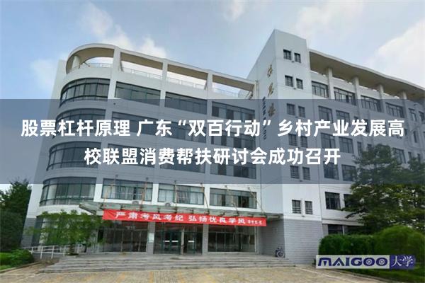 股票杠杆原理 广东“双百行动”乡村产业发展高校联盟消费帮扶研讨会成功召开
