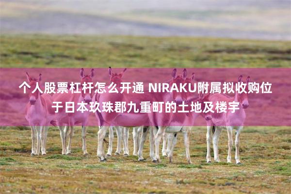 个人股票杠杆怎么开通 NIRAKU附属拟收购位于日本玖珠郡九重町的土地及楼宇