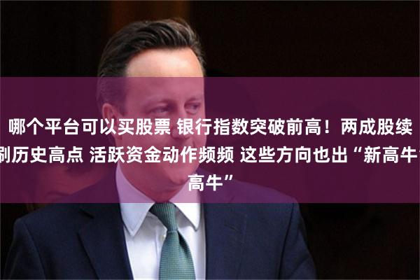哪个平台可以买股票 银行指数突破前高！两成股续刷历史高点 活跃资金动作频频 这些方向也出“新高牛”