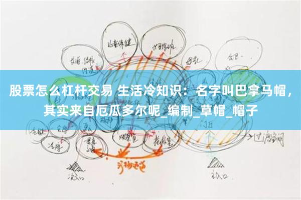 股票怎么杠杆交易 生活冷知识：名字叫巴拿马帽，其实来自厄瓜多尔呢_编制_草帽_帽子