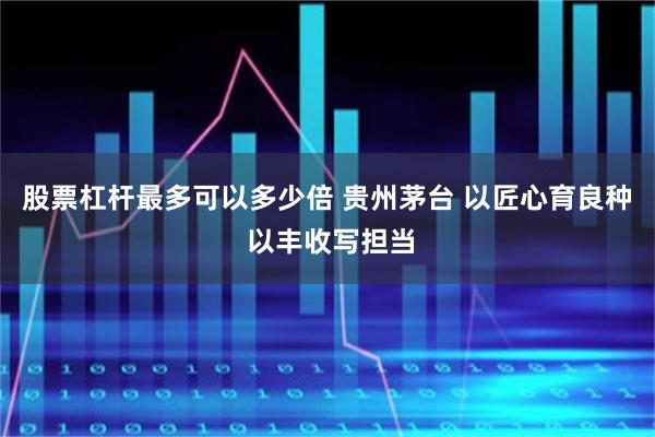 股票杠杆最多可以多少倍 贵州茅台 以匠心育良种 以丰收写担当