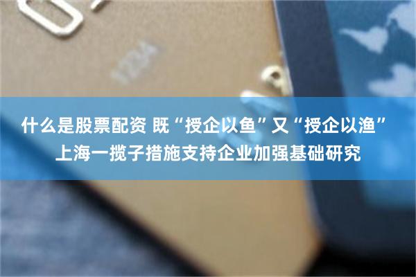 什么是股票配资 既“授企以鱼”又“授企以渔” 上海一揽子措施支持企业加强基础研究